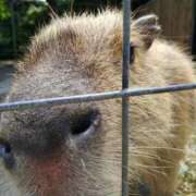 ヒメ日記 2025/12/26 19:47 投稿 大政RURU 全裸革命orおもいっきり痴漢電車