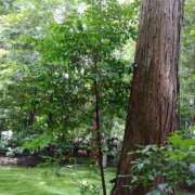 ヒメ日記 2026/02/18 17:37 投稿 大政RURU 全裸革命orおもいっきり痴漢電車