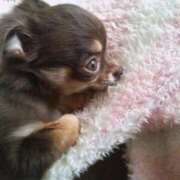 ヒメ日記 2026/03/13 15:07 投稿 大政RURU 全裸革命orおもいっきり痴漢電車