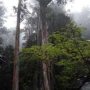 ヒメ日記 2026/03/17 15:10 投稿 大政RURU 全裸革命orおもいっきり痴漢電車