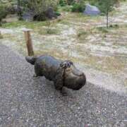 ヒメ日記 2026/04/06 19:49 投稿 大政RURU 全裸革命orおもいっきり痴漢電車