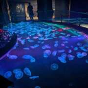 ヒメ日記 2026/04/18 14:17 投稿 大政RURU 全裸革命orおもいっきり痴漢電車