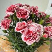 ヒメ日記 2025/05/19 10:03 投稿 レイカ ミセスコレクション