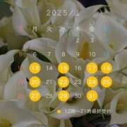 ヒメ日記 2024/12/15 22:01 投稿 高塚 ひまり エルドール