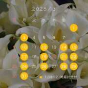 ヒメ日記 2025/02/21 10:30 投稿 高塚 ひまり エルドール