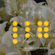 ヒメ日記 2025/03/21 10:01 投稿 高塚 ひまり エルドール