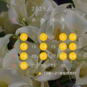 ヒメ日記 2025/04/14 10:01 投稿 高塚 ひまり エルドール