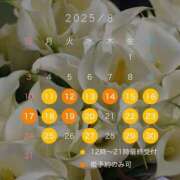 ヒメ日記 2025/07/12 10:01 投稿 高塚 ひまり エルドール