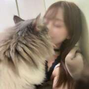 ヒメ日記 2025/10/20 10:01 投稿 高塚 ひまり エルドール