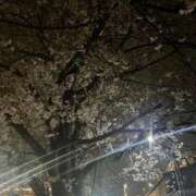 ヒメ日記 2025/03/31 22:02 投稿 ゆみこ 熟女の風俗最終章 相模原店