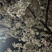 ヒメ日記 2025/04/07 20:51 投稿 ゆみこ 熟女の風俗最終章 相模原店