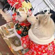 ヒメ日記 2025/01/01 18:42 投稿 純恋 ナイスディ