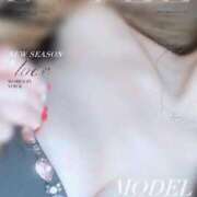 ヒメ日記 2025/02/27 20:18 投稿 純恋 ナイスディ