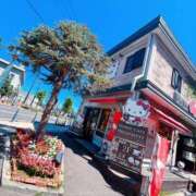 ヒメ日記 2025/08/16 16:17 投稿 純恋 ナイスディ