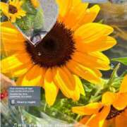 ヒメ日記 2025/10/07 18:15 投稿 純恋 ナイスディ