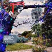 ヒメ日記 2025/11/12 21:57 投稿 純恋 ナイスディ