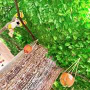 ヒメ日記 2025/12/04 13:44 投稿 純恋 ナイスディ