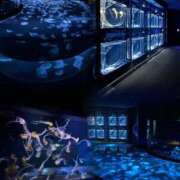 ヒメ日記 2026/04/08 09:16 投稿 純恋 ナイスディ