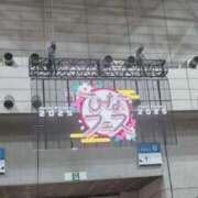 ヒメ日記 2025/04/15 14:45 投稿 てん コスパラ