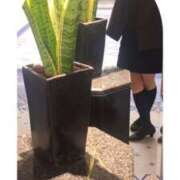 ヒメ日記 2024/12/20 13:46 投稿 西野景子 五十路マダムエクスプレス船橋店(カサブランカグループ)