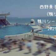 ヒメ日記 2025/08/21 15:32 投稿 西野景子 五十路マダムエクスプレス船橋店(カサブランカグループ)