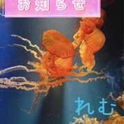 ヒメ日記 2024/10/05 01:18 投稿 れむ 京都デリヘル倶楽部FIRST