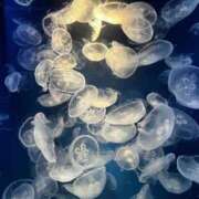 ヒメ日記 2026/01/01 18:33 投稿 れむ 京都デリヘル倶楽部FIRST