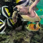 ヒメ日記 2026/03/28 03:30 投稿 れむ 京都デリヘル倶楽部FIRST