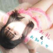 ヒメ日記 2026/03/30 03:33 投稿 れむ 京都デリヘル倶楽部FIRST