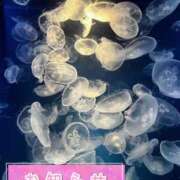 ヒメ日記 2026/04/17 22:59 投稿 れむ 京都デリヘル倶楽部FIRST