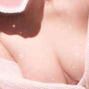 ヒメ日記 2025/02/18 15:20 投稿 辻本 BBW横浜店