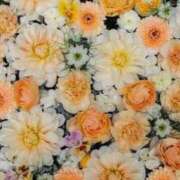 ヒメ日記 2025/10/15 15:06 投稿 辻本 BBW横浜店