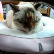 ヒメ日記 2025/10/08 12:27 投稿 響(ひびき） クラブジーナ