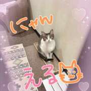 ヒメ日記 2025/02/22 13:00 投稿 河北　りほ スッキリ商事