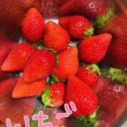 ヒメ日記 2025/04/02 20:17 投稿 河北　りほ スッキリ商事