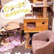 ヒメ日記 2025/08/14 18:39 投稿 河北　りほ スッキリ商事