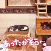 ヒメ日記 2025/10/16 18:29 投稿 河北　りほ スッキリ商事