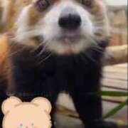 ヒメ日記 2026/01/29 18:24 投稿 河北　りほ スッキリ商事