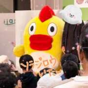 ヒメ日記 2026/02/24 18:21 投稿 河北　りほ スッキリ商事