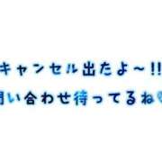 ヒメ日記 2024/02/27 10:31 投稿 レイ COCOMERO池袋店