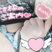 ヒメ日記 2024/12/30 16:49 投稿 みいな 宮崎ちゃんこ都城店