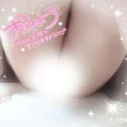 ヒメ日記 2025/01/23 07:35 投稿 みいな 宮崎ちゃんこ都城店