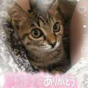 ヒメ日記 2025/04/18 08:45 投稿 みいな 宮崎ちゃんこ都城店