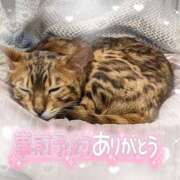 ヒメ日記 2025/04/18 09:54 投稿 みいな 宮崎ちゃんこ都城店