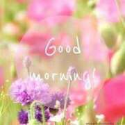 ヒメ日記 2025/04/04 10:01 投稿 めい 吉野ケ里人妻デリヘル 「デリ夫人」