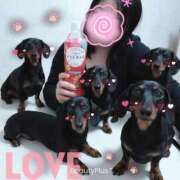 ヒメ日記 2025/11/25 10:30 投稿 めい 吉野ケ里人妻デリヘル 「デリ夫人」