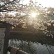 ヒメ日記 2025/04/09 18:12 投稿 朱夏（しゅうか） 秘密倶楽部 凛 錦糸町店