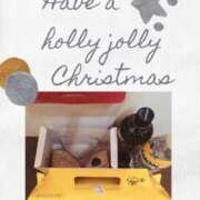 ヒメ日記 2024/12/15 07:29 投稿 柊蓮 こあくまな熟女たち 千葉店（KOAKUMAグループ）