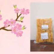 ヒメ日記 2025/03/22 07:57 投稿 柊蓮 こあくまな熟女たち 千葉店（KOAKUMAグループ）