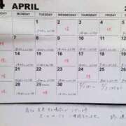 ヒメ日記 2025/04/03 15:54 投稿 柊蓮 こあくまな熟女たち 千葉店（KOAKUMAグループ）